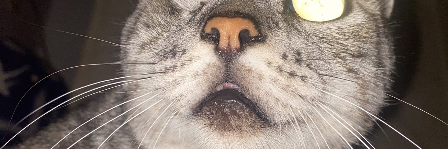 nrubs's profile banner image