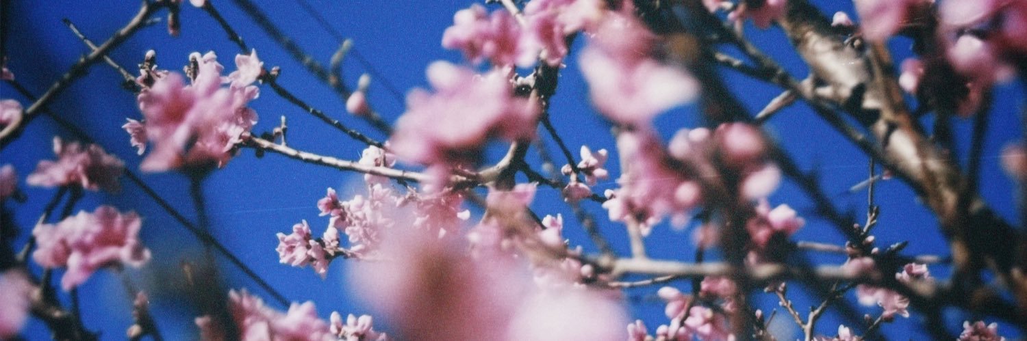 justimerlotti's profile banner image