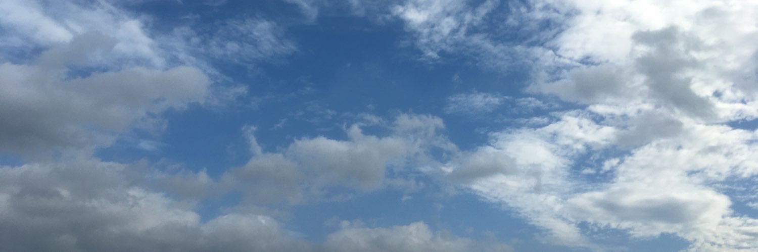 墙上杂草丛生 banner