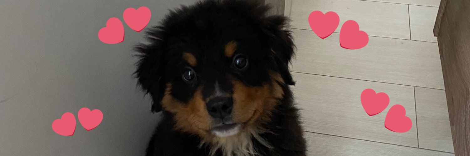 melibbc's profile banner image