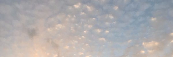 adamloving Profile Banner