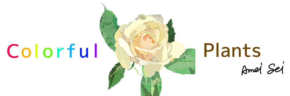 amei_sei's profile banner image