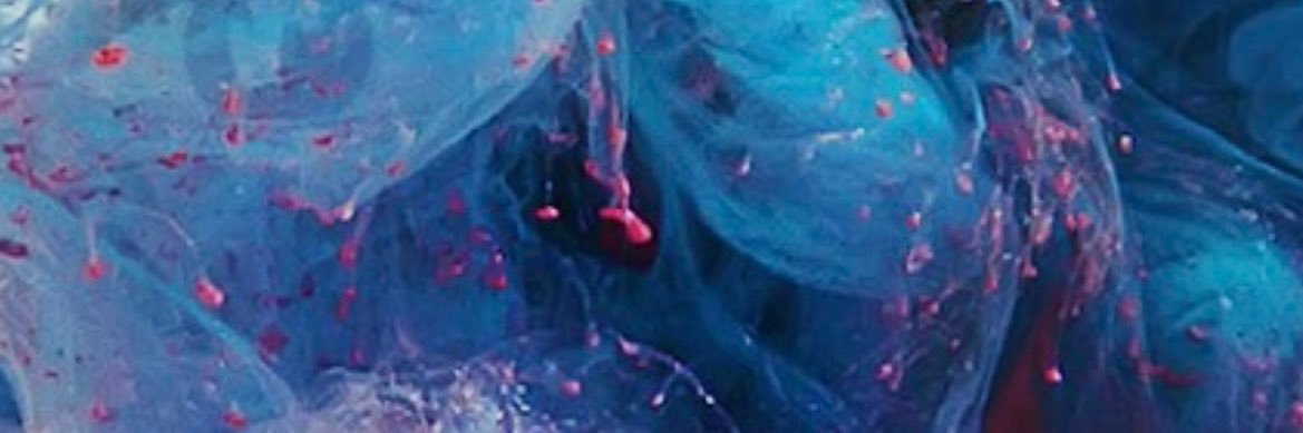 Expert1Dfs's profile banner image
