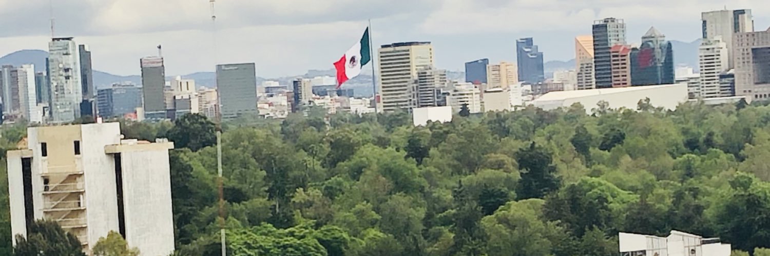 Evelyn Vera banner
