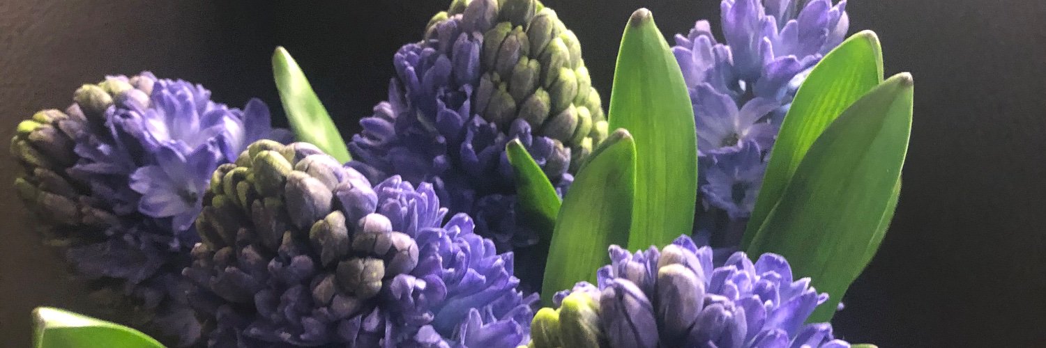 therba2001's profile banner image