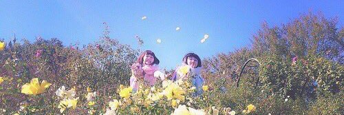 りさ banner