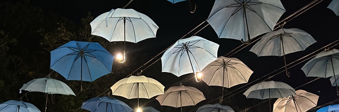 daniaamolina's profile banner image