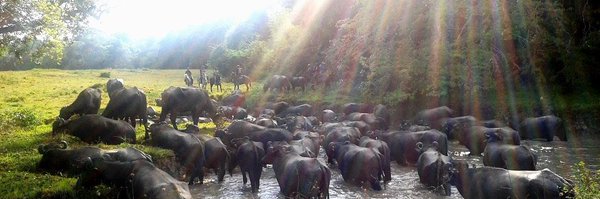 EduMaiCo Profile Banner