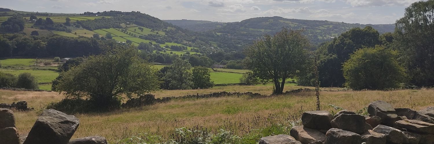 HarrietM_W's profile banner image