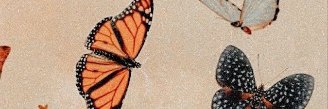 mariebg_'s profile banner image