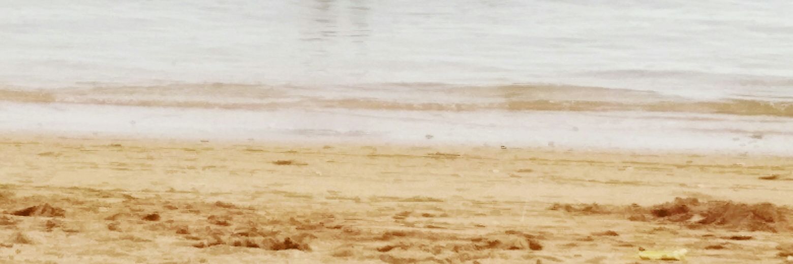 NoviPoetiray's profile banner image