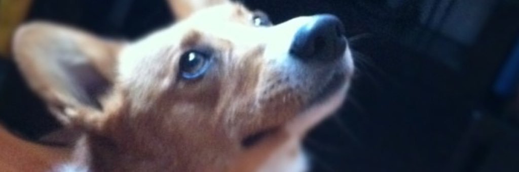 SOLANOREYES's profile banner image