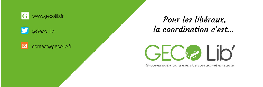 GECO Lib' banner