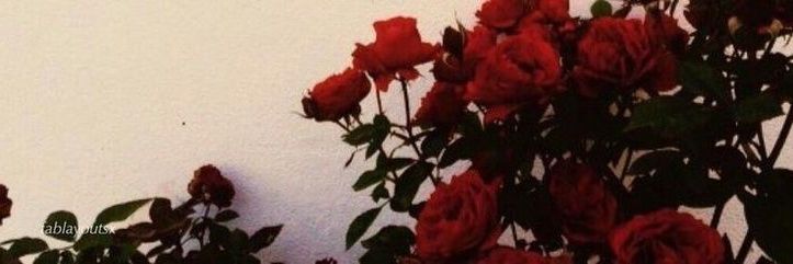 notrooting's profile banner image