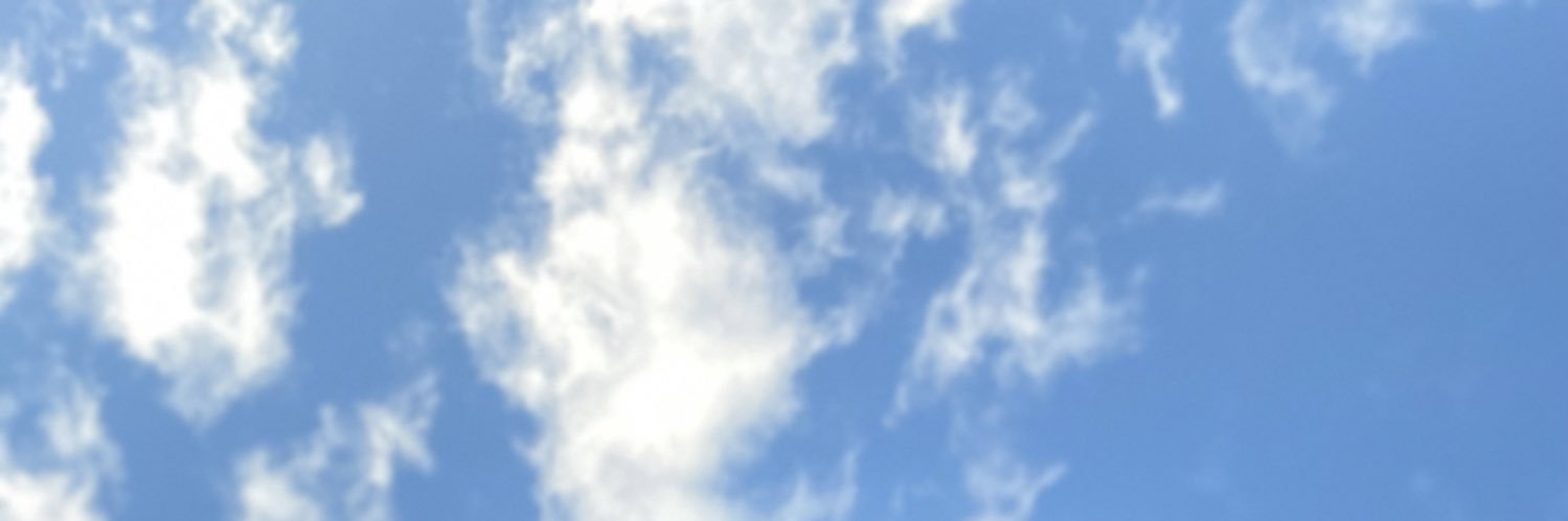 eubutturi's profile banner image