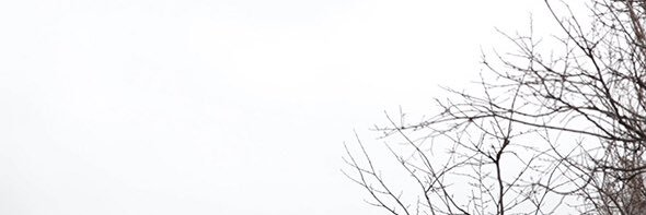 FervidDelicacy's profile banner image