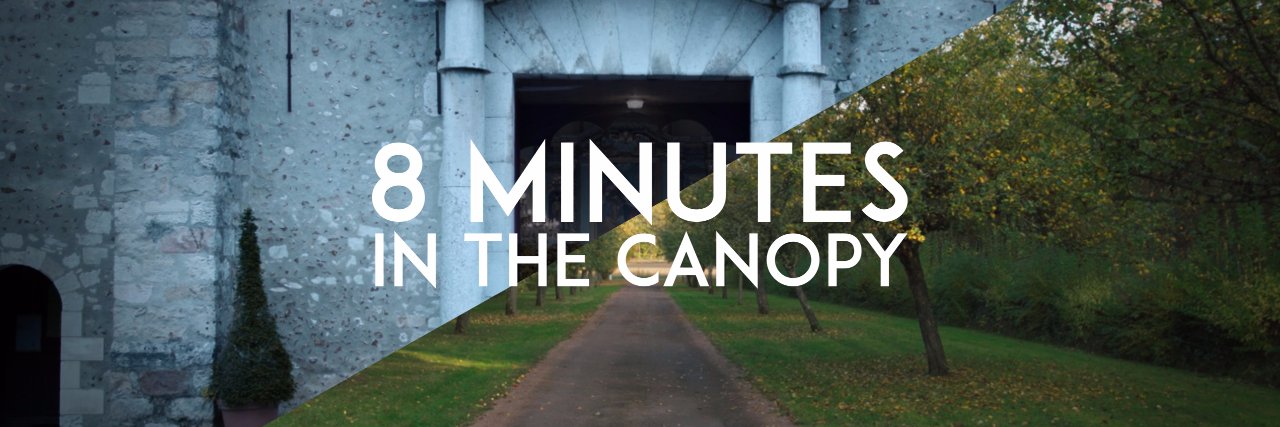 In The Canopy banner