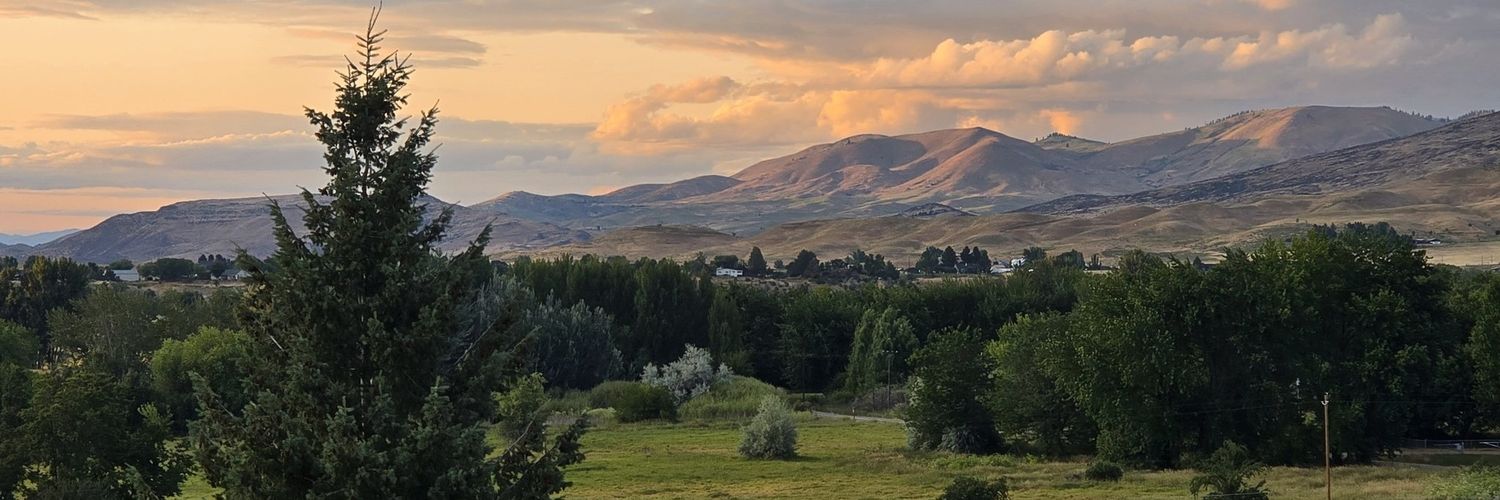 Aufa 🌸🍀 banner