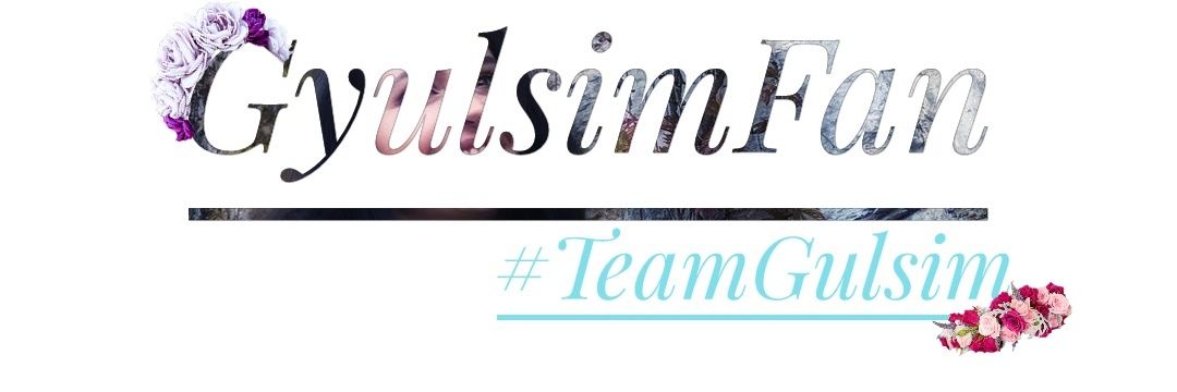 Gyulsimfan's profile banner image