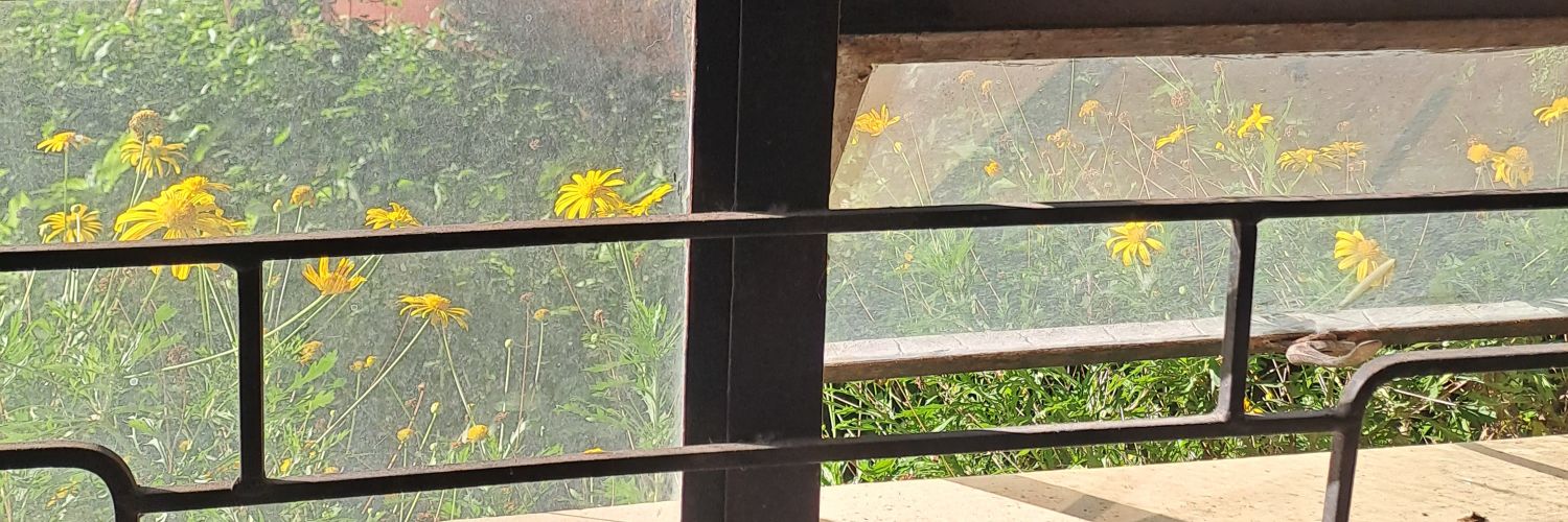 sleaannz's profile banner image