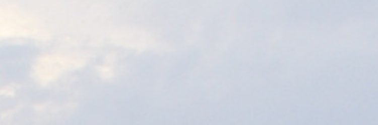 FFHS Nighthawk News banner