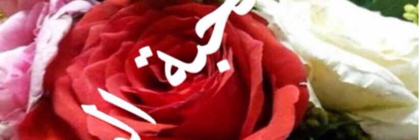 FahsF's profile banner image
