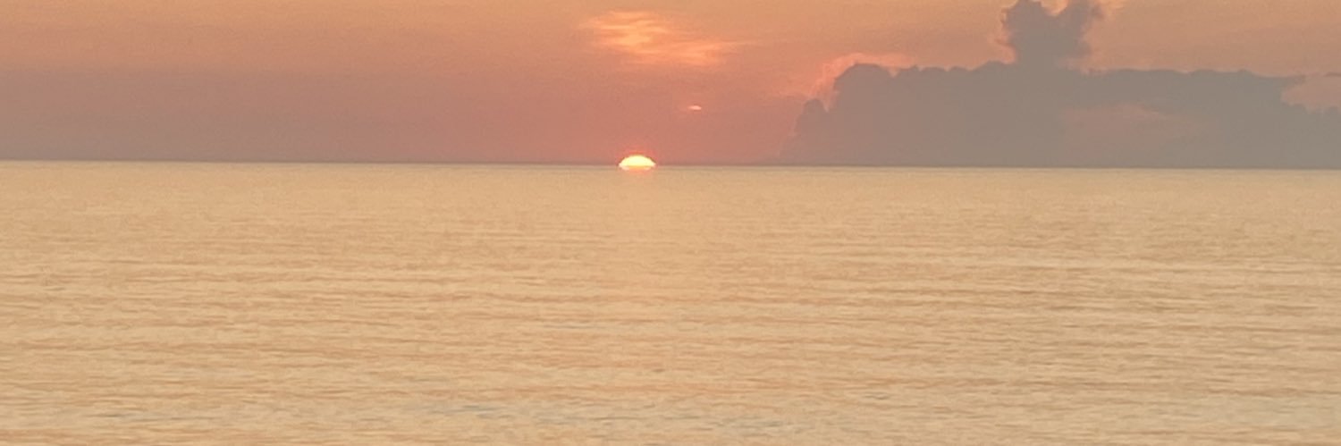 hoylier's profile banner image