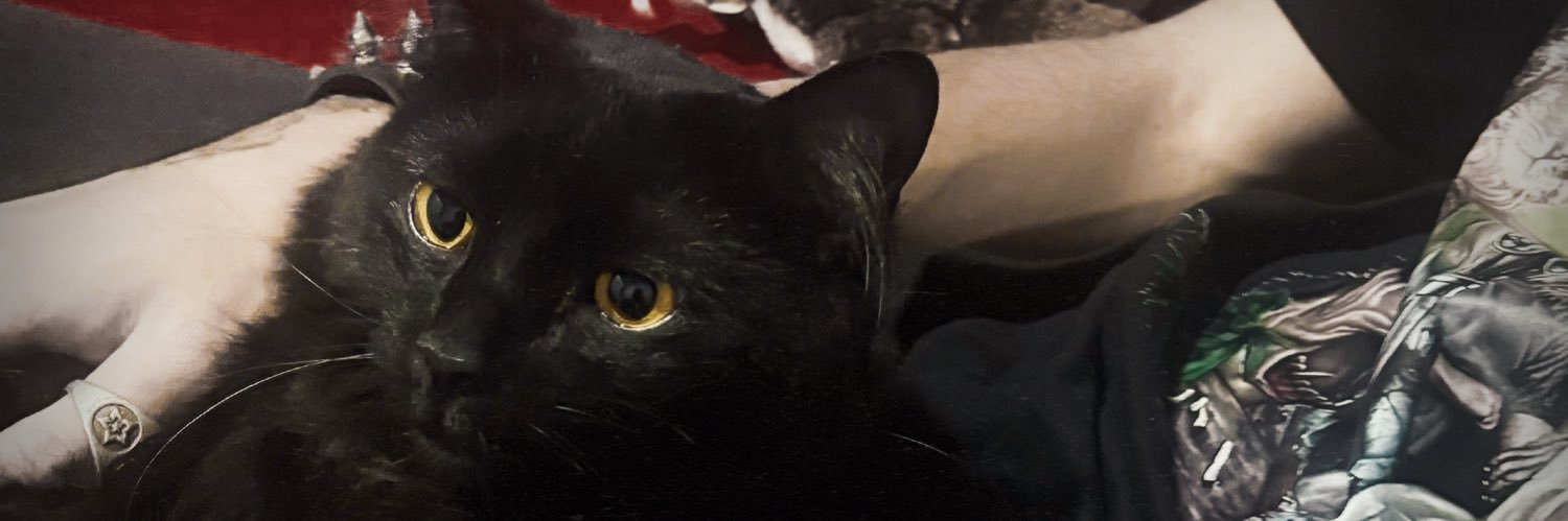 dearlolitta's profile banner image