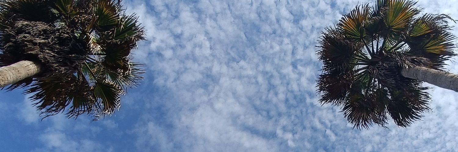 Aryrnm's profile banner image