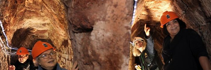 ExeterPassages's profile banner image