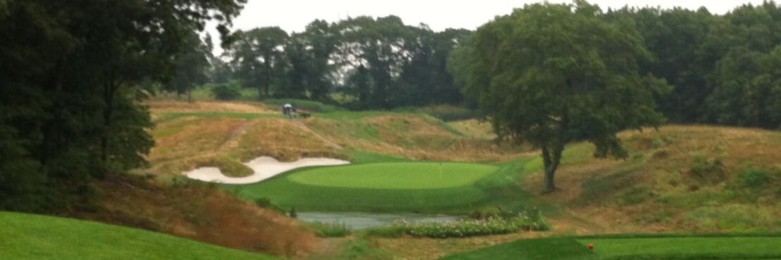 David Scorsolini banner