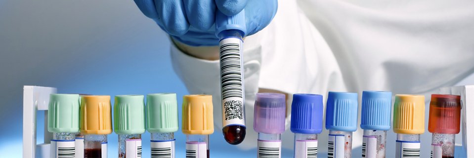 pathobiology11's profile banner image