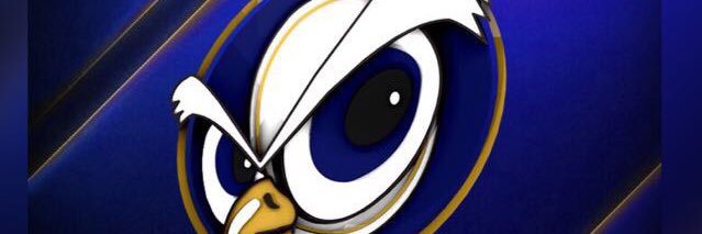 Coach Roberto Roy banner
