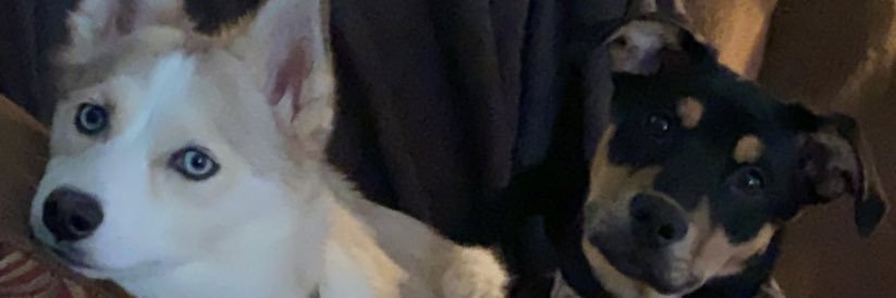 TittyBoyTroy's profile banner image