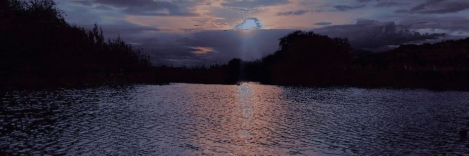 💜 Dannie SDL VERA A BTS 💜 banner