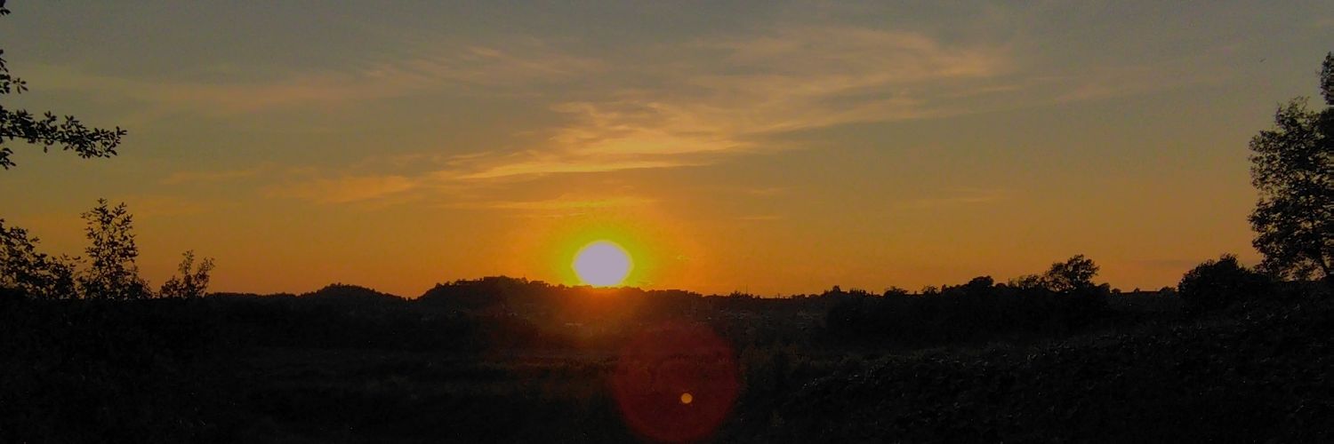leiressingla's profile banner image