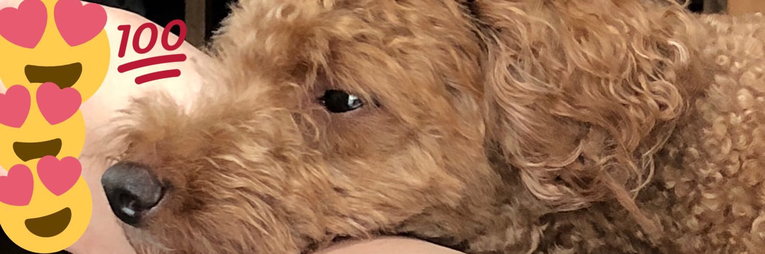R____ked's profile banner image