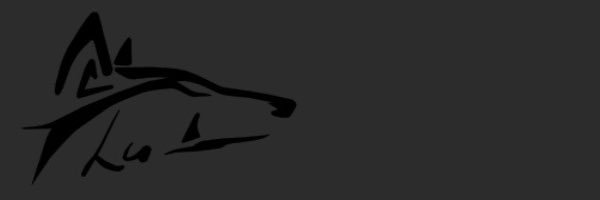 CoachLu Profile Banner