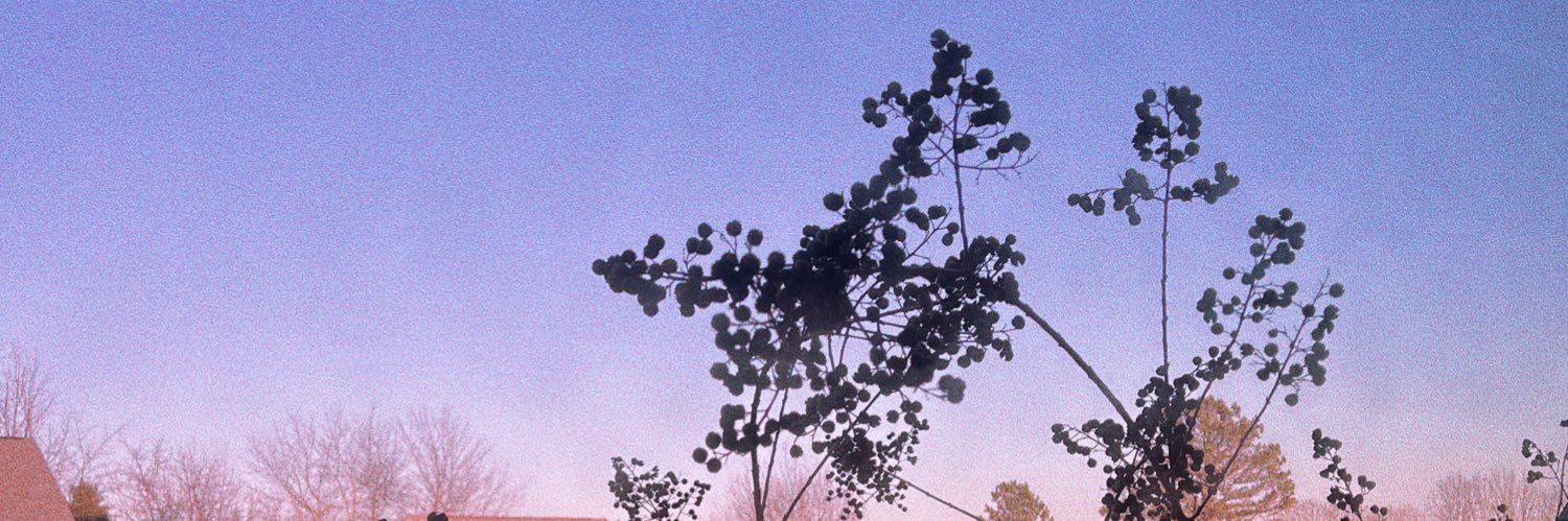 mallorygumm8's profile banner image