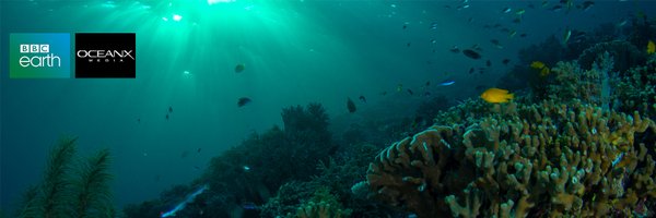 BBC #OurBluePlanet Profile Banner