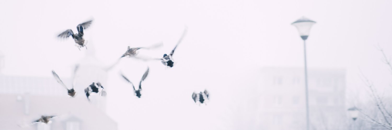 isabelfsalas's profile banner image
