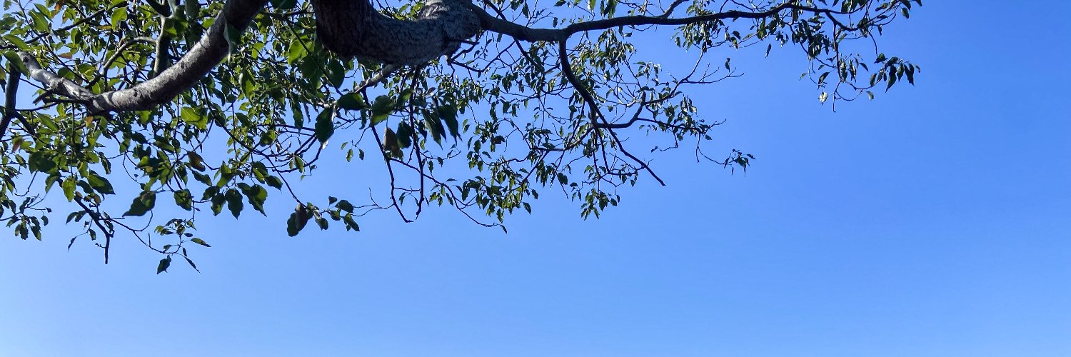Sigtrans's profile banner image