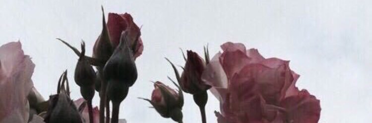 payton_moon's profile banner image