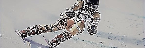 Ross banner