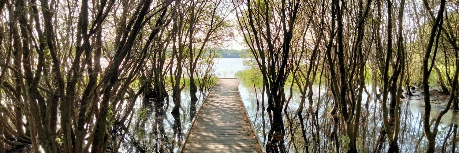 Olivier Norvez banner