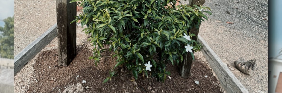 anoiyy's profile banner image