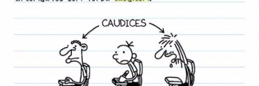 The Caudicium banner