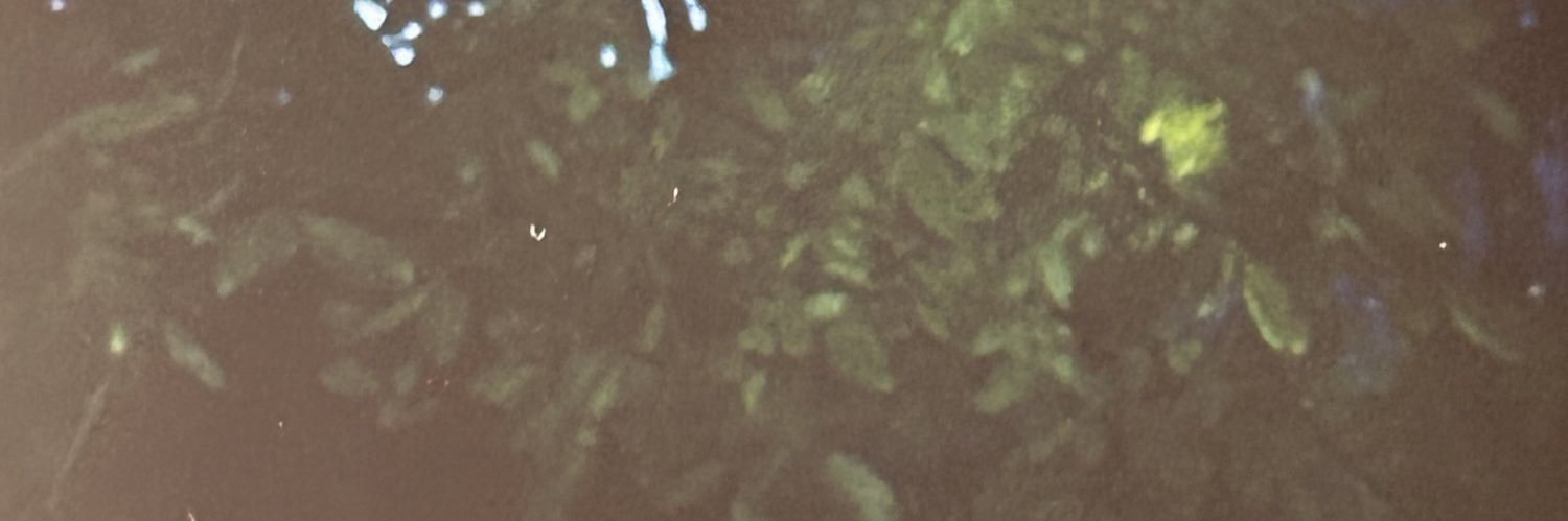 XanZenx's profile banner image