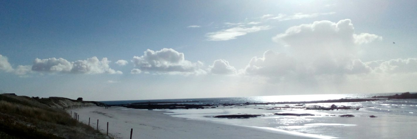 Myriam Calvez banner