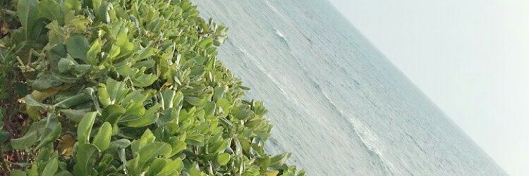 2503aichan's profile banner image